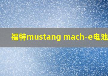 福特mustang mach-e电池容量